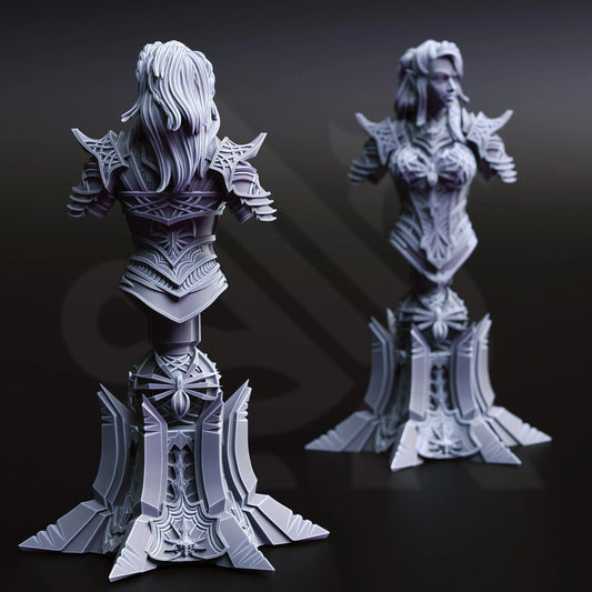 Vakara N'thara - Drow Assassin | Bust | DM Stash