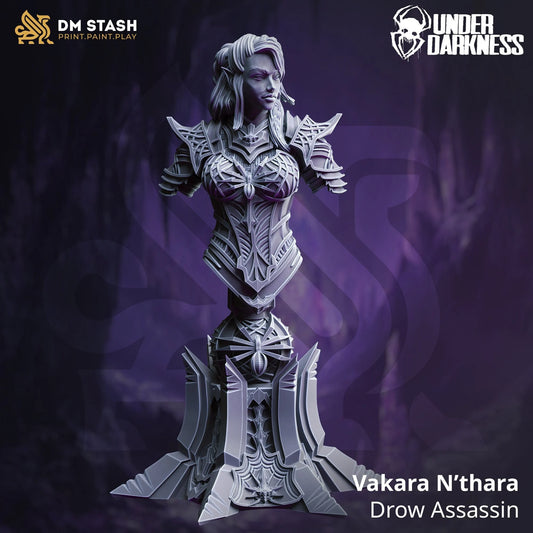 Vakara N'thara - Drow Assassin | Bust | DM Stash