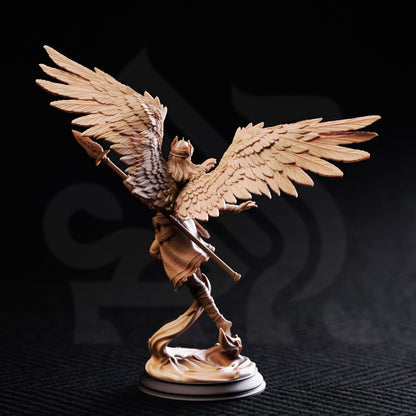 Daughters of Death - Valkyrie Shieldmaidens | 32mm / 75mm Scale | DM Stash