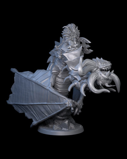 Leader on Dragon