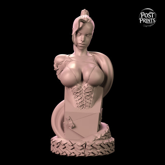 Scar | Bust | Post Prints