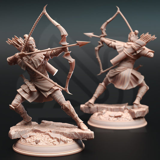 Ervion ro Estel - Elven Ranger | 32mm / 75mm Scale | DM Stash