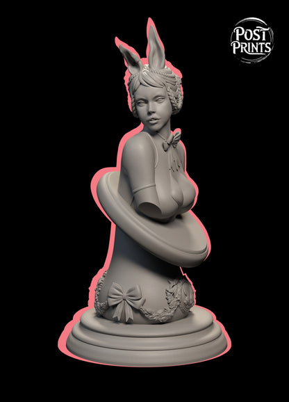 Bunny | Bust | Post Prints